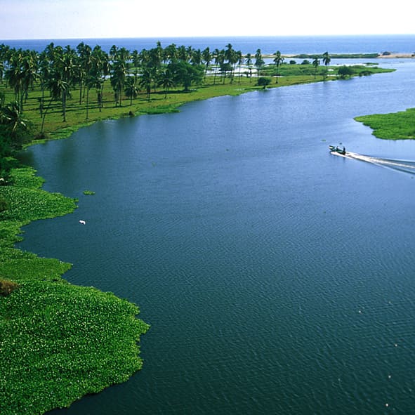 Pasear en la Laguna Coyuca – GUERRERO, MARAVILLAS NATURALES